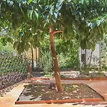 بيت ضيافة El Roy Garden